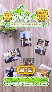 ポンタと〇〇のコントラストも素敵！ポン旅お写真鑑賞会＜第１回＞ #骸骨騎士様 #アニメ