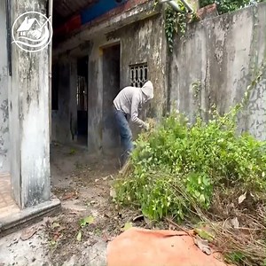 18K views · 4.8K reactions | Clean up to beautifully transform an abandoned house - Cut overgrown grass P2 | Clean Up TV | Facebook