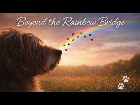Beyond the Rainbow Bridge | A Song About Losing a Dog