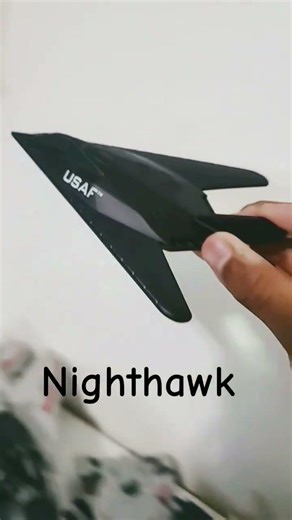 Nighthawk 🦅🇺🇸