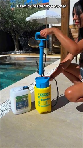 Pebbles get into the swimming pool again and again #shortsvideo