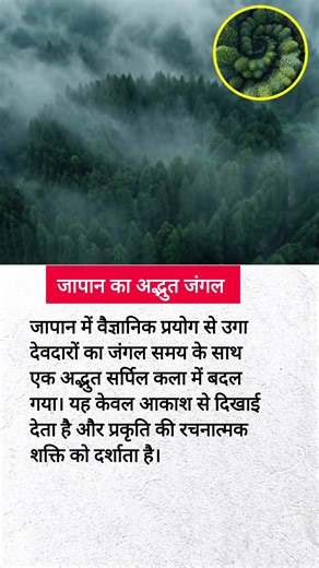 जापान का अनोखा जंगल #trending #forest #explore #japan #facts #space #youtubeshorts #gk