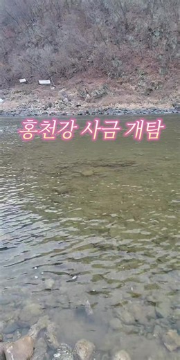 홍천강 사금 개척탐사 라이브
