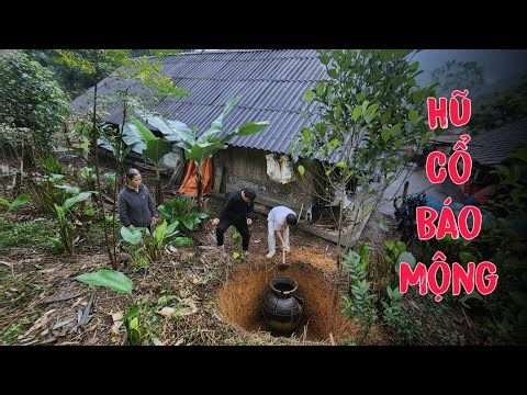 Bà Lão 70 Tuổi Suýt Gặp Nguy Vì Làm Theo Giấc Mơ Kỳ Lạ Hũ Cổ Báo Mộng Cho Vàng