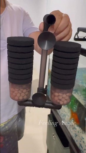 installing bio-sponge filter to fish tank #aquariumhobby #aquariumfilter