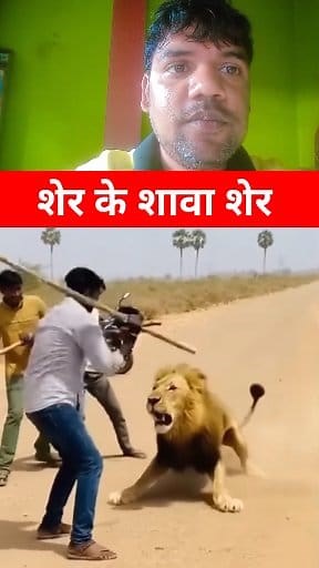 A Lion vs Motorcyclists😭 #animals #videoreels #trendingreelsvideo #reactionvideo #trendingpost #trendingnow #viralreelschallenge2025viralreelschallengejaiviralreelschallengeviralreelschallenge | MBT News c