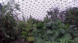 10K views · 242 reactions | Climb up into the canopy of the Climatron with our horticulturists and learn what goes into trimming the conservatory's tropical trees. www.mobot.org/climatron | Missouri Botanical Garden | Facebook