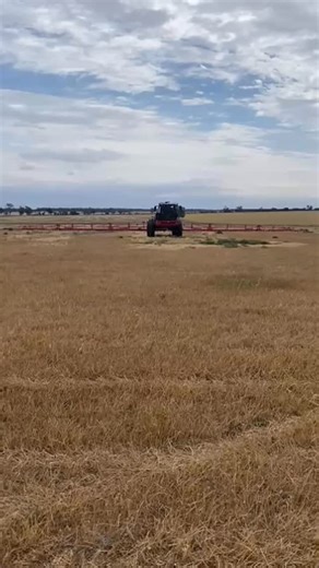 🚜 Smarter spraying with Agrifac Vanguard! When working near a fence or boundary, Headland Mode automatically lifts the wings as you reach the boundary, giving you the clearance you need and protecting your equipment. Once you’re back on the next run, the wings reset automatically, keeping your workflow smooth and efficient. 💡 Precision, protection and productivity, all built into Vanguard. #Agrifac #AgrifacAU #PrecisionFarming #PrecisionSprayers #PrecisionAg #SprayTechnology | Agrifac Australi