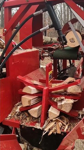 Cheap Fast Processor #split #wood #firewood