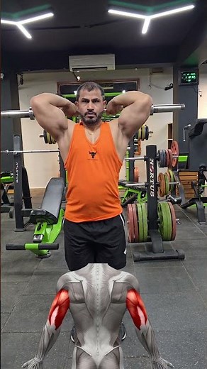 Ez-Bar Overhead Triceps Extension 💪🏼 #Triceps #armsworkout