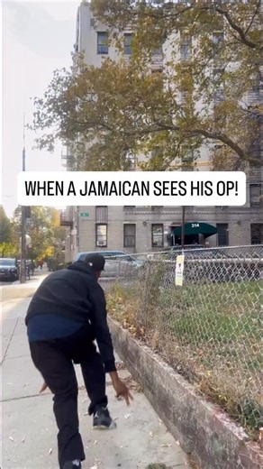 ITS ON SITE! 🇯🇲 | Pottz