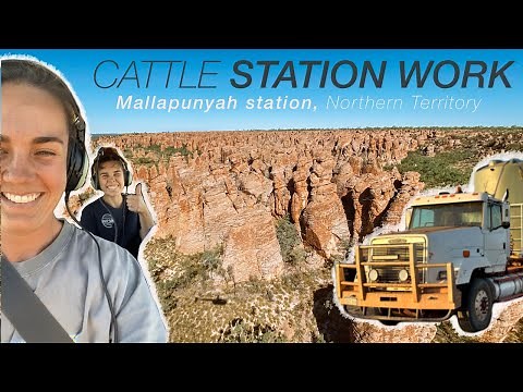 NT STATION WORK - experiencing living and working on a NT cattle station
