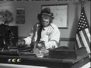 Chimp Channel Andy Griffith Show