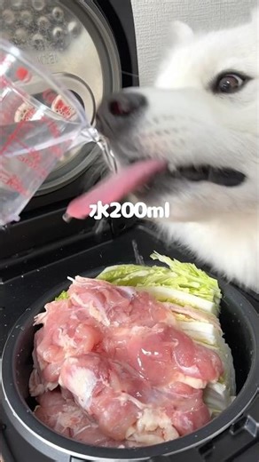 白菜と鶏肉のとろとろ煮をつくったら爆食してくれました！