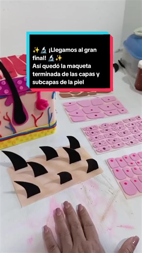 Finalización de la Maqueta de la Piel