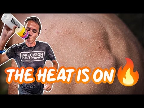 What is the Precision Performance Lab?