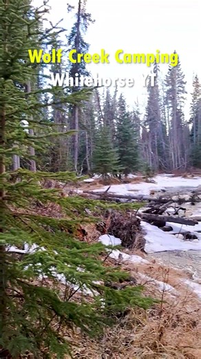 Wolf Creek Camping Whitehorse Yukon 😍 Hidden Spot
