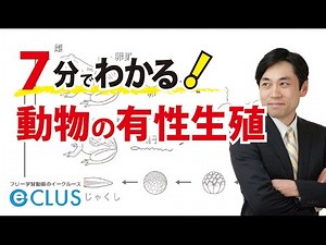 動物の有性生殖　中学理科3年2分野　生命の連続性4