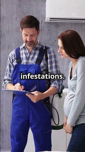 Heat Treatments for Bed Bugs Localized Vs Whole Room Treatment