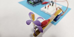 Make a Biohybrid Robot with a Plant as a Touch Sensor | Science Project