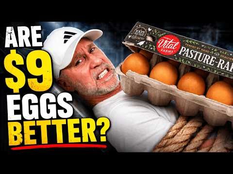 Premium Eggs vs Cheap Eggs — The Microscope Doesn't Lie