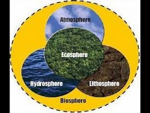 environmental segments || Atmosphere || Hydrosphere || Biosphere || Lithosphere.