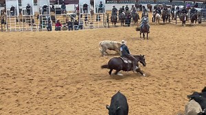 Jesse Lennox leads the way in the NRCHA Worlds Greatest Horseman Herd Work, scoring a massive 228! Riding Metallic Curveball owned by Rocking P Ranch! Click here to watch Jesse working 2yr olds: https://chtolive.com/?s=Jesse Lennox&post_type=video | Cutting Horse Training Online