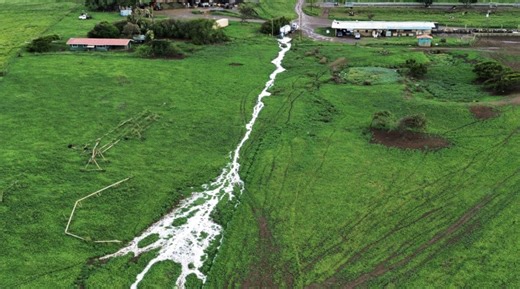 Hawai‘i’s only commercial dairy farm faces potential lawsuit for alleged milk, manure discharge into Big Island’s waterways | Big Island Now