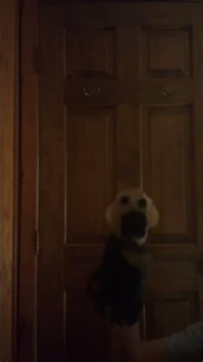 Some dumb idiot put the machine on 7 #puppet