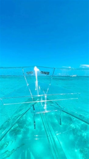 Un día en el clear boat y entendí por qué todos dicen que el mar de Caribe te reinicia la vida 💙🐢 Barco transparente, peces pasando debajo de tus pies, un barco hundido lleno de historia y el snorkel más bonito… TODO en una sola experiencia. Si quieres vivirlo igual, en Mickmel te llevamos y te conseguimos tu lugar 🌊🤿✨ ¿Listos para el siguiente viaje? #ClearBoat #lanchatransparente #cancunmexico #rivieramaya #snorkeling #barcohundido #fiesta #agenciadeviajes #pecestropicales #reelsviralシfb #