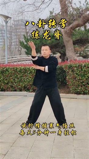 Master the Dragon Spine: 8 Trigrams Palm Stretching Routine