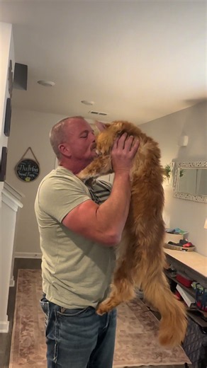 It’s been too long but our favorite duo is back! We can’t wait to pick up where we left off! #fyp #cat #catsoftiktok #mainecoon #bigcats
