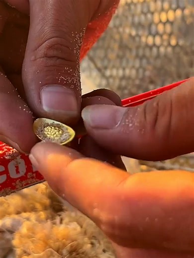 Ancient Gold Found: A Journey Back in Time