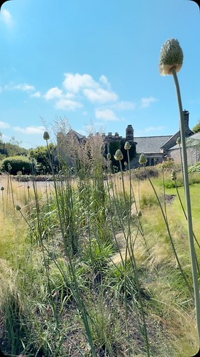 Just a little bit more… #weddingvenue #devonwedding #weddingday #weddingceremony #wedding #harestonmanor #weddinginspiration #weddingstyle #weddingideas #weddingdesign #weddingreception #countrygarden #wildgrass | Hareston Manor Weddings