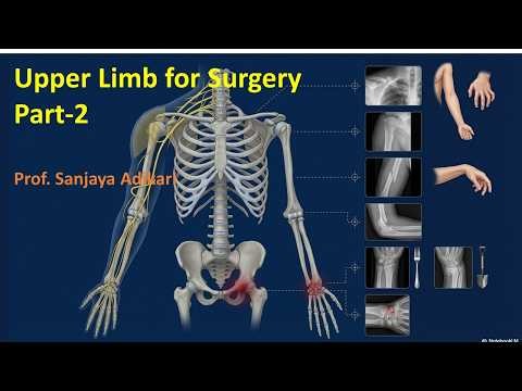 Upper Limb for Surgery Part 2