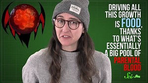 8.1K views · 90 reactions | When you're pregnant, you're essentially growing an alien parasite inside of you, and it's pretty weird. The full video about it is live on our channel now! https://www.youtube.com/watch?v=OwrjBiW3suM | SciShow | Facebook