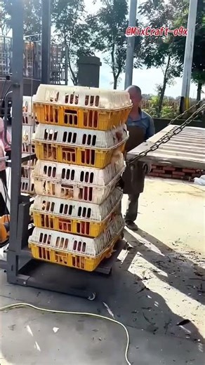 Brilliant DIY Chicken & Duck Lifter — Simple but Powerful! #mixcraft