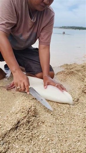 Preparing Freshly Caught Squid on the Beach