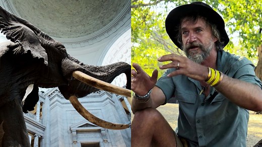 Nat Geo's new documentary, 'Ghost Elephants,' follows the journey to find these elusive animals