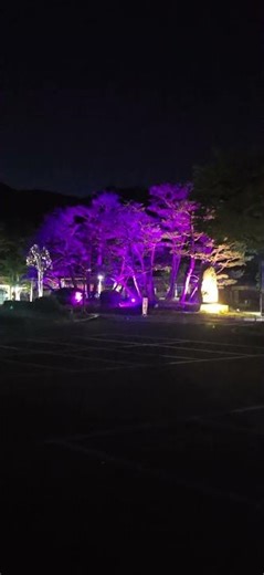 정동원귀호강#용문산관광단지#야경