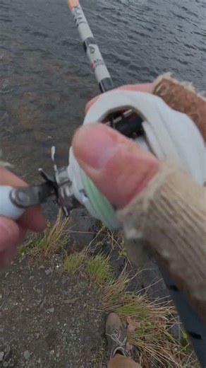 🔥 SUMMER BASS BITES ARE ALMOST HERE… but spring tactics are STILL getting it done! 🎣 #fishing