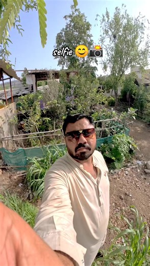 Creative Mobile Photography Tips for Stunning Shots