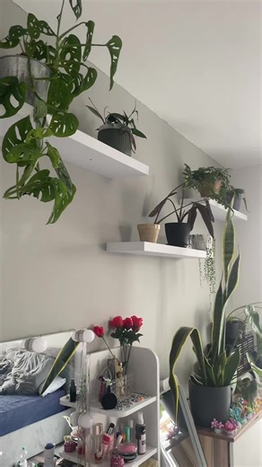 The Beauty and Benefits of Green Plants