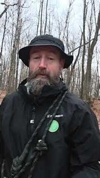 Sam Outside, The One about Forest Bathing and Guided Forest Therapy Walks