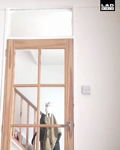 'I'll just jump over this door.' 🐈 | LADbible