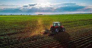 Critican precios de garantía en plan de AMLO