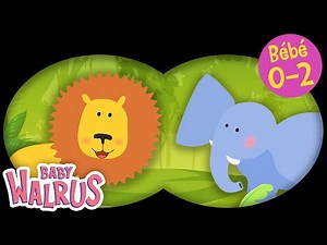 Cache-Cache – Les animaux de la jungle | Série éducative pour les bébés de 0 à 2 ans
