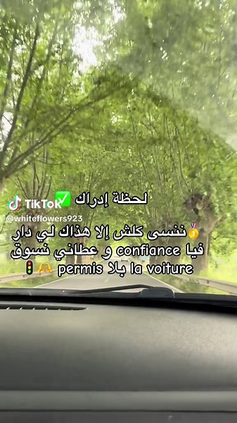 Vidéos de Broken flower 🥀🇩🇿🇨🇦 (@broken_flower97) avec son original - yasser