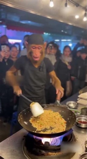 The Monkey Chef Who Mastered Fire — Street Fried Rice Show That Shocked Everyone!