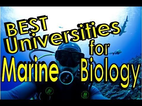 Best Universities for Marine Biology